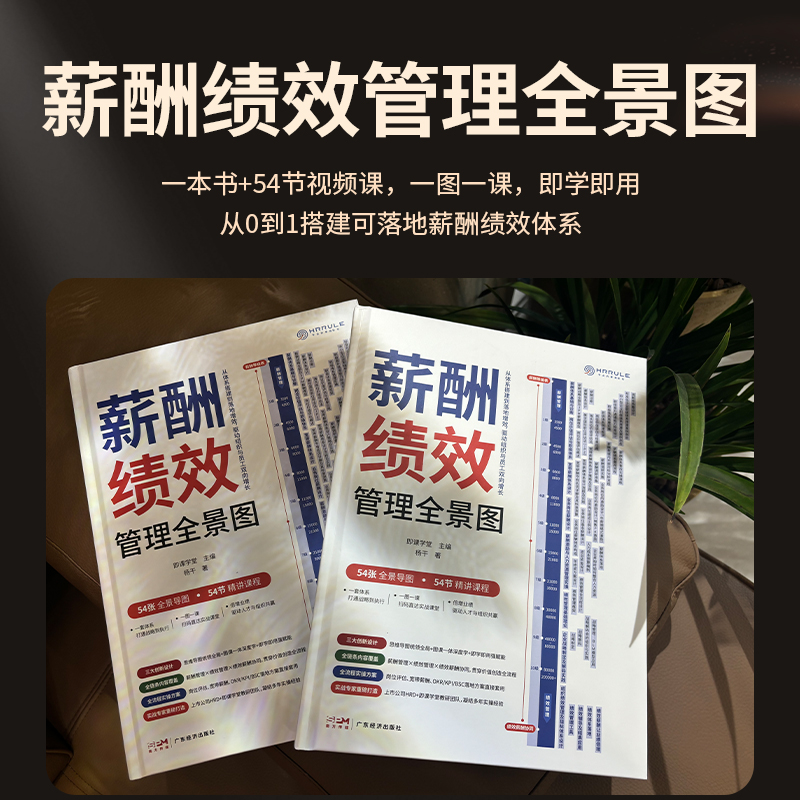 《薪酬绩效管理全景图》一本书+54节视频课，扫码听课，送课件送资料